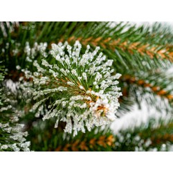 Umělý vánoční stromek - Smrk Beskydský 220 cm